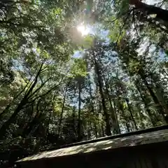 八幡神社松平東照宮(愛知県)