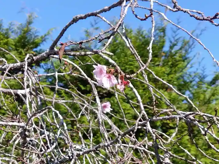 実光院(京都府)