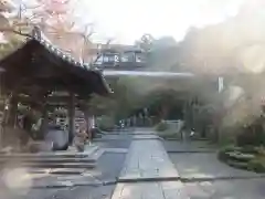 岡寺（龍蓋寺）の建物その他