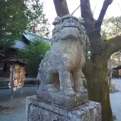 報徳二宮神社の狛犬