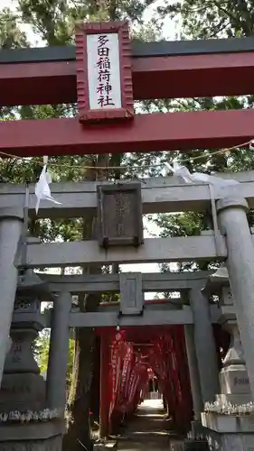 多田朝日森稲荷神社の鳥居