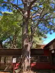 前原御嶽神社(千葉県)