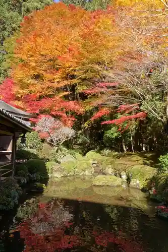 寂光院の庭園