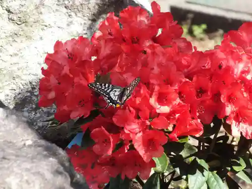 三大神社の自然