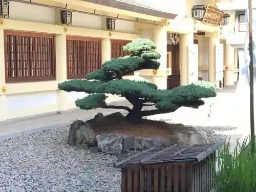 愛知縣護國神社の庭園