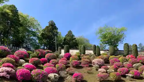 成田山新勝寺の{uncategorized: "未分類", other: "その他", undefined: "問題あり", building: "その他建物", grave: "お墓", sacred_gate: "鳥居", guardian: "狛犬", statue: "像", buddha: "仏像", history: "歴史", nature: "自然", garden: "庭園", animal: "動物", pagoda: "塔", temizu: "手水舎", mountain_gate: "山門・神門", sanctuary: "本殿・本堂", subordinate: "末社・摂社", art: "芸術", scenery: "景色", jizo: "地蔵", ema: "絵馬", goshuin: "御朱印", omikuji: "おみくじ", items: "授与品その他", amulet: "お守り", goshuincho: "御朱印帳", eats: "食事", festival: "お祭り", votive_dance: "神楽", shichigosan: "七五三参", wedding: "結婚式", experience: "体験その他", initially: "初詣", around: "周辺", anti_infection: "感染症対策"}