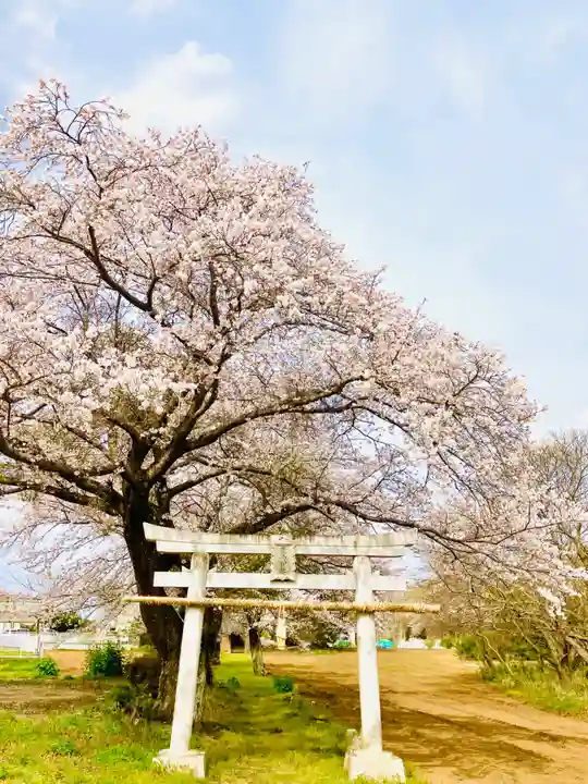 鹿嶋神社(茨城県)