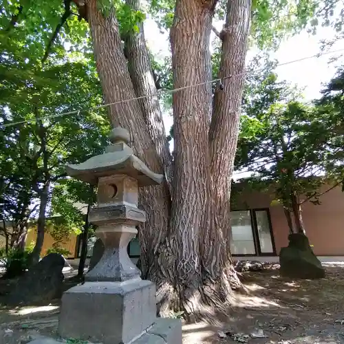 月寒神社の自然