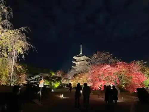 東寺（教王護国寺）(京都府)