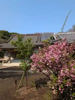 豊顕寺(神奈川県)