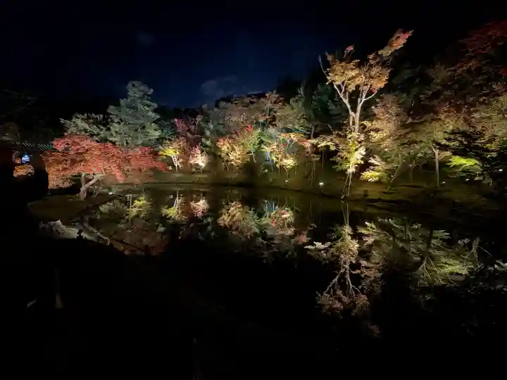 高台寺(高台寿聖禅寺・高臺寺)(京都府)