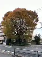 小野神社(東京都)