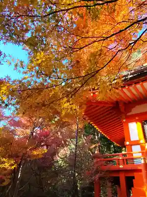 毘沙門堂門跡(京都府)