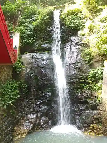 大正寺(中野不動尊)の周辺