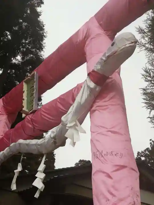 下野 星宮神社の鳥居