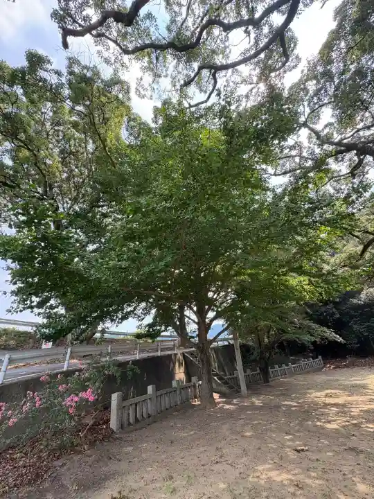 加茂神社(徳島県)