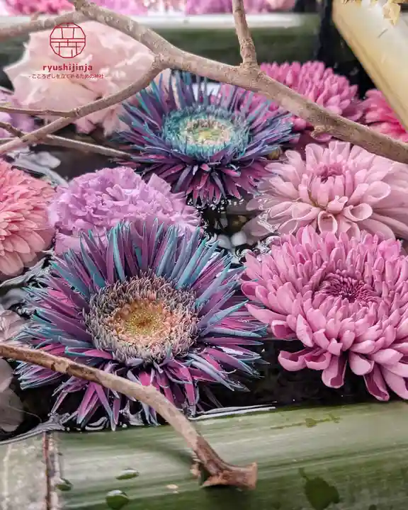 立志神社(滋賀県)