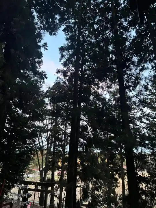 大宮温泉神社(栃木県)