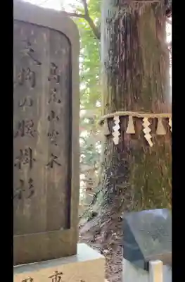 高尾山薬王院の{uncategorized: "未分類", other: "その他", undefined: "問題あり", building: "その他建物", grave: "お墓", sacred_gate: "鳥居", guardian: "狛犬", statue: "像", buddha: "仏像", history: "歴史", nature: "自然", garden: "庭園", animal: "動物", pagoda: "塔", temizu: "手水舎", mountain_gate: "山門・神門", sanctuary: "本殿・本堂", subordinate: "末社・摂社", art: "芸術", scenery: "景色", jizo: "地蔵", ema: "絵馬", goshuin: "御朱印", omikuji: "おみくじ", items: "授与品その他", amulet: "お守り", goshuincho: "御朱印帳", eats: "食事", festival: "お祭り", votive_dance: "神楽", shichigosan: "七五三参", wedding: "結婚式", experience: "体験その他", initially: "初詣", around: "周辺", anti_infection: "感染症対策"}