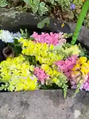 岡部春日神社～👹鬼門よけの🌺花咲く🌺やしろ～(福島県)