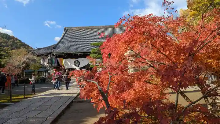 光明寺(粟生光明寺)(京都府)