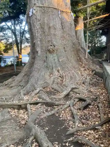 五霊神社(神奈川県)