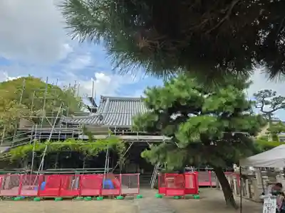 葛井寺(大阪府)