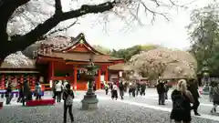 富士山本宮浅間大社の本殿