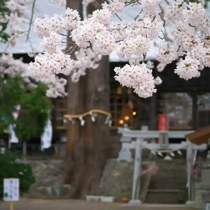 高司神社〜むすびの神の鎮まる社〜の自然