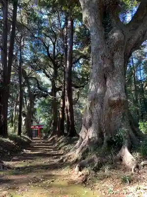 諏訪神社(千葉県)