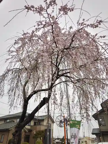 熊野福藏神社の自然
