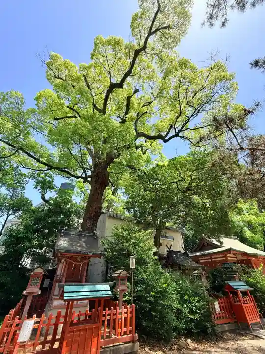 長田神社の{uncategorized: "未分類", other: "その他", undefined: "問題あり", building: "その他建物", grave: "お墓", sacred_gate: "鳥居", guardian: "狛犬", statue: "像", buddha: "仏像", history: "歴史", nature: "自然", garden: "庭園", animal: "動物", pagoda: "塔", temizu: "手水舎", mountain_gate: "山門・神門", sanctuary: "本殿・本堂", subordinate: "末社・摂社", art: "芸術", scenery: "景色", jizo: "地蔵", ema: "絵馬", goshuin: "御朱印", omikuji: "おみくじ", items: "授与品その他", amulet: "お守り", goshuincho: "御朱印帳", eats: "食事", festival: "お祭り", votive_dance: "神楽", shichigosan: "七五三参", wedding: "結婚式", experience: "体験その他", initially: "初詣", around: "周辺", anti_infection: "感染症対策"}