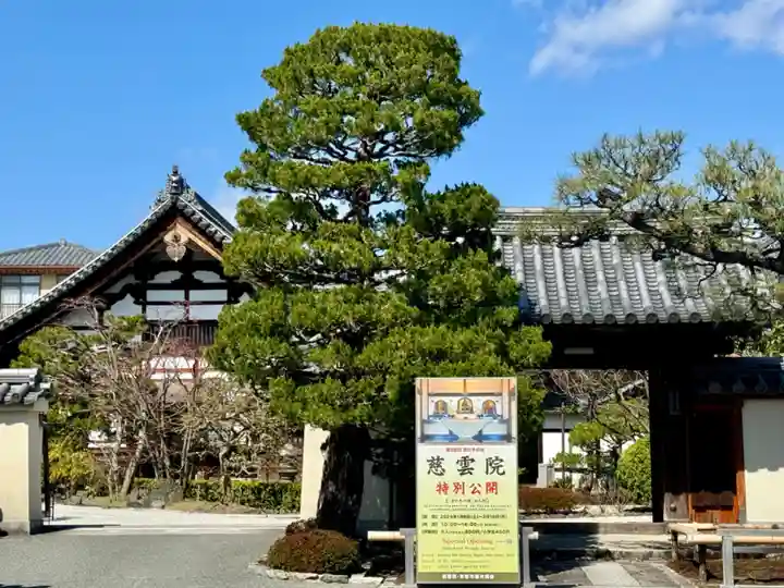 慈雲院(京都府)