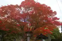 土津神社｜こどもと出世の神さまの自然