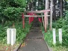 丸塚稲荷神社の鳥居