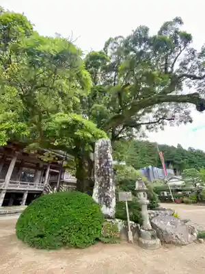 青岸渡寺(和歌山県)