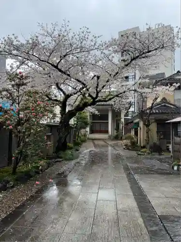 正洞院(東京都)
