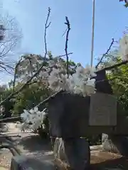 河内阿蘇神社の自然