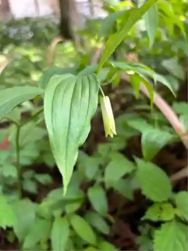 岩戸別神社(栃木県)