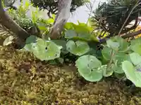 西方山極楽寺(岐阜県)