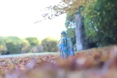 隨心院(随心院)(京都府)