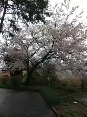 鷲神社(埼玉県)