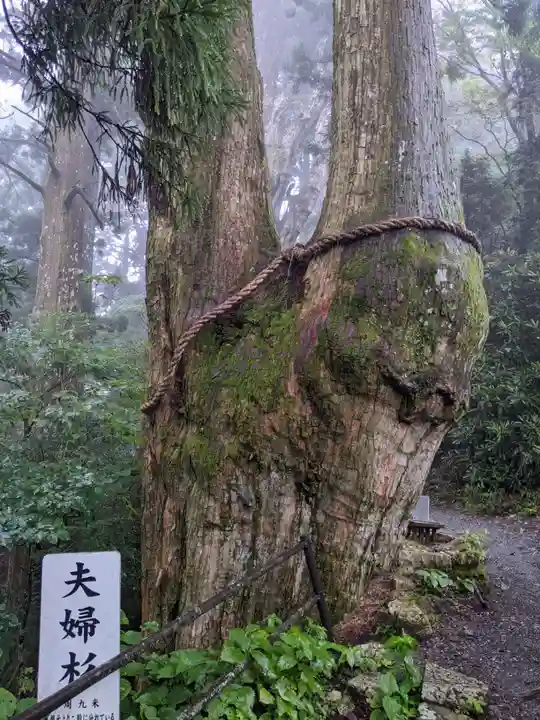 玉置神社(奈良県)