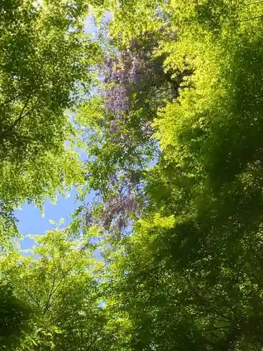 鳳来山東照宮(愛知県)