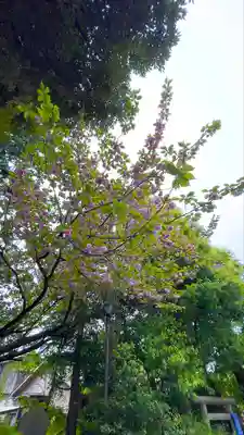 七社神社(東京都)