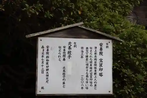 安養院　(田代寺）の歴史