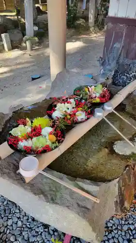 遍照院(愛知県)