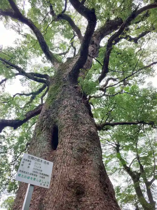 岡山神社の自然
