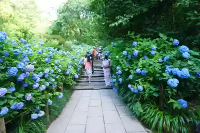 明月院のその他建物