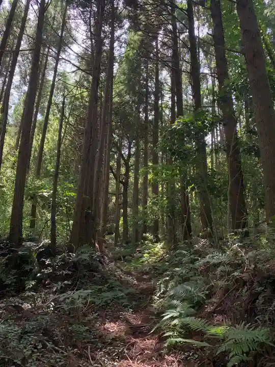 熊野大権現の周辺